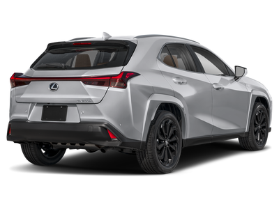 2025 Lexus UX 300h