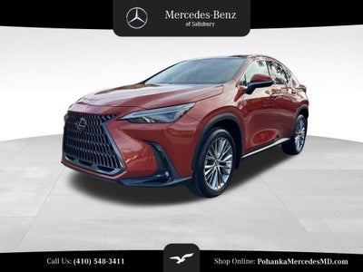 2023 Lexus NX 350 Luxury