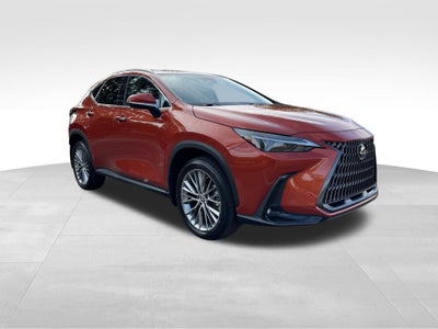 2023 Lexus NX 350 Luxury