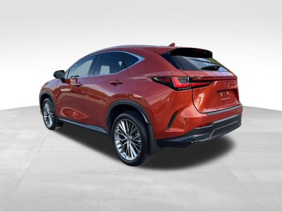 2023 Lexus NX 350 Luxury