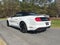 2021 Ford Mustang GT Premium California Special ** Pohanka Certified 10 Year/10