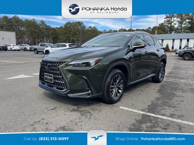 2025 Lexus NX 250 Premium