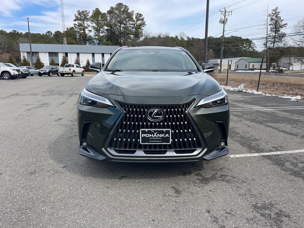 2025 Lexus NX 250 Premium