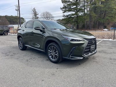 2025 Lexus NX 250 Premium