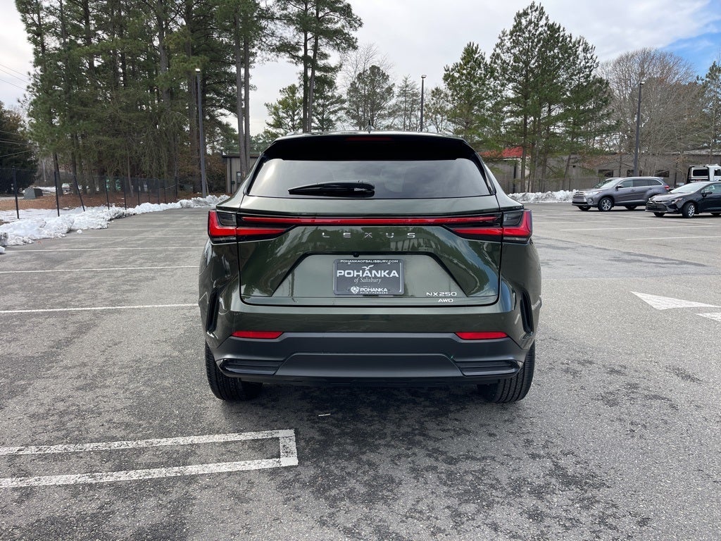 2025 Lexus NX 250 Premium