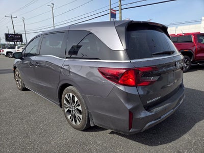 2025 Honda Odyssey Elite