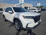 2023 Honda Pilot EX-L 7 Passenger