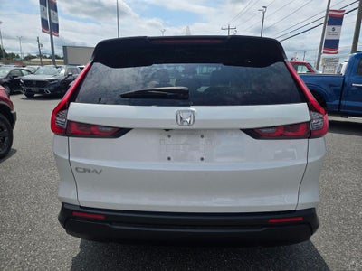 2025 Honda CR-V EX-L **HondaTrue Certified**