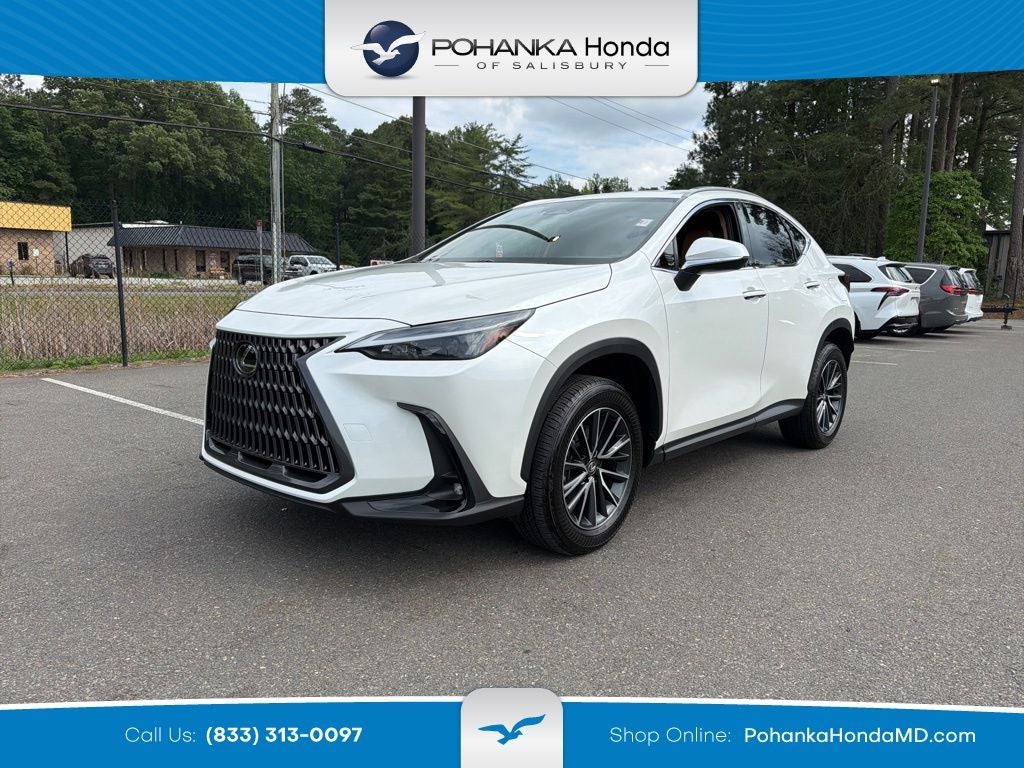 2024 Lexus NX 350 Base
