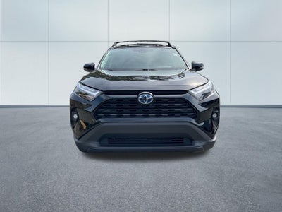 2024 Toyota RAV4 Hybrid XLE Premium