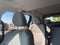2021 Toyota Sienna LE 8 Passenger
