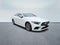 2019 Mercedes-Benz CLS CLS 450 4MATIC®
