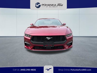 2025 Ford Mustang EcoBoost Premium