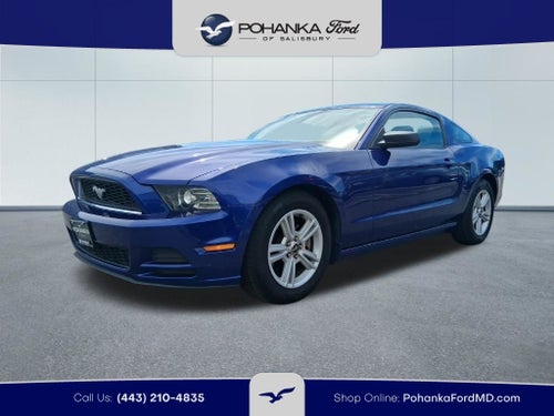 2014 Ford Mustang V6
