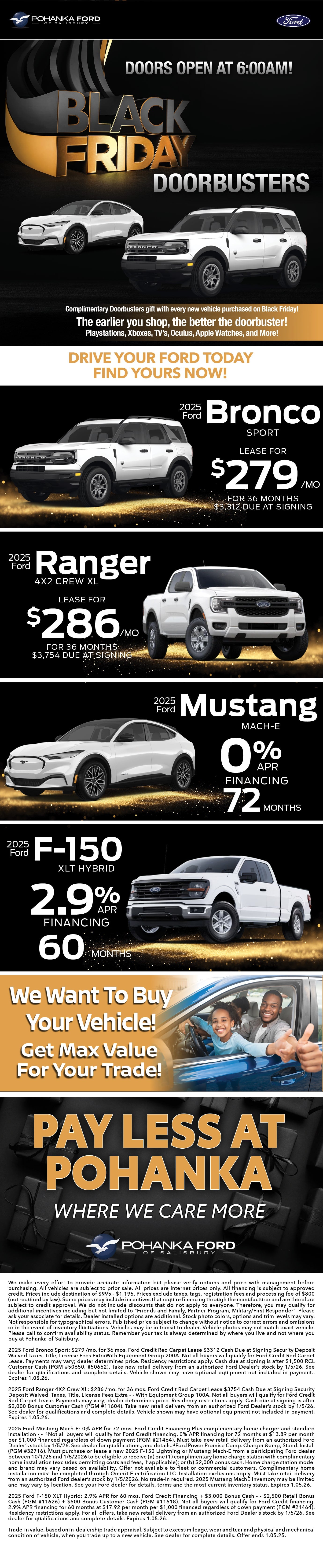 Black Friday Promotion